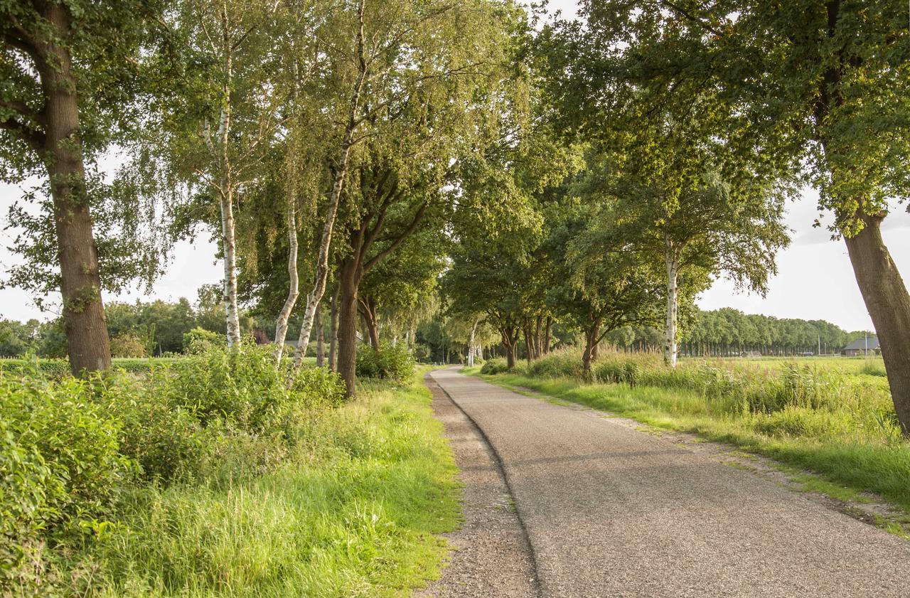 לינה וארוחת בוקר Bed & Breakfast Bed In Brabant ווכהל מראה חיצוני תמונה